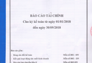 Báo cáo tài chính