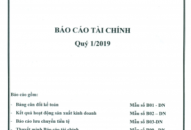 Báo cáo tài chính quí I năm 2019