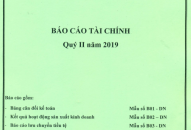 Báo cáo tài chính quý II năm 2019