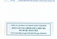 Báo cáo tài chính giữa niên độ đã được soát xét cho kỳ hoạt động từ ngày01/01/2019 đến 30/06/2019